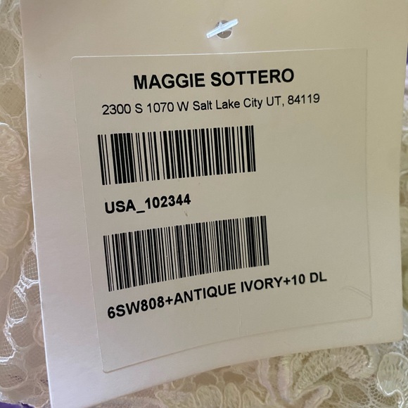 Wedding Gown with matching Cathedral Veil - Picture 3 of 4